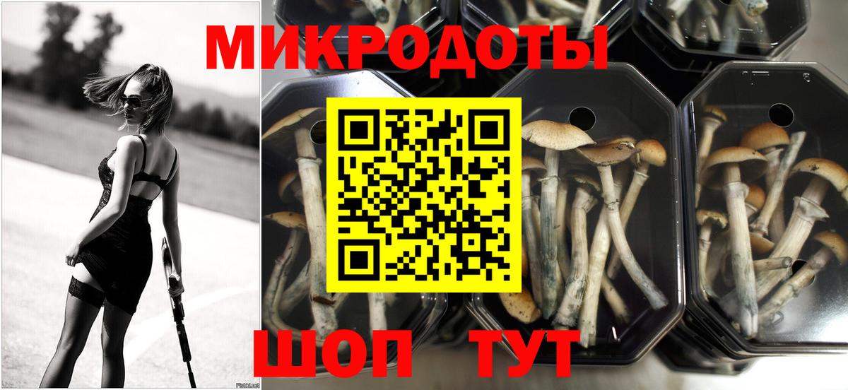 Псилоцибиновые грибы мухоморы  Вход с VPN  Жигулёвск  Псилоцибиновые грибы прущие грибы 